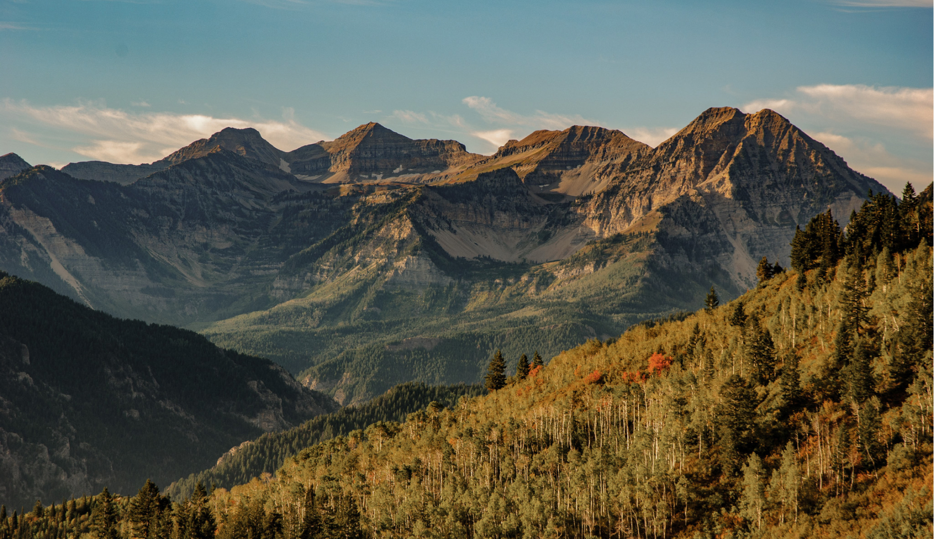 Insider Experience Utah