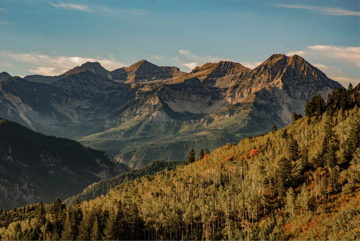 Insider Experience · Utah